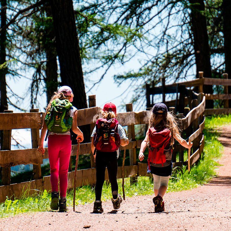 Excursiones
