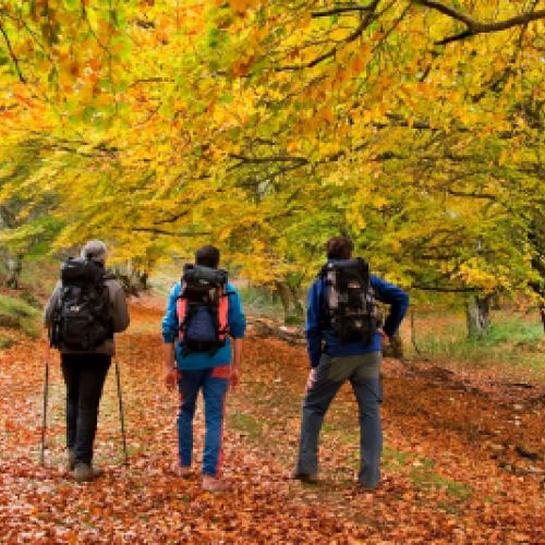 ecoturismo Merindades