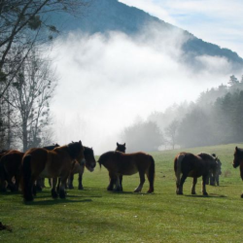 ecoturismo en norte Burgos
