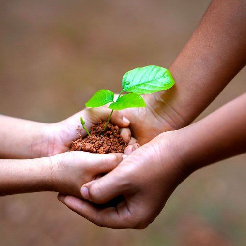 Educación medioambiental