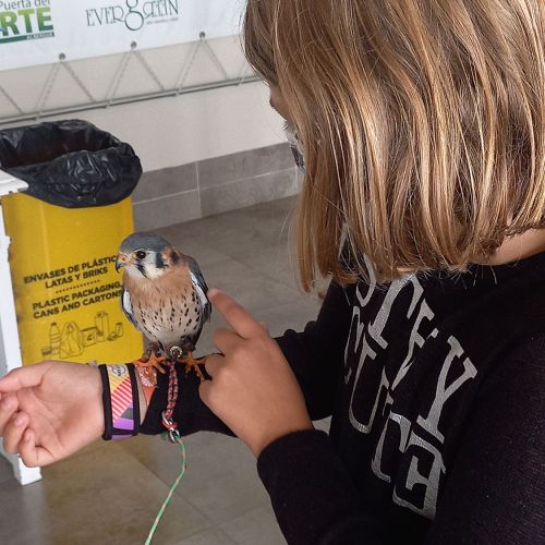 campamentos de inglés en Burgos