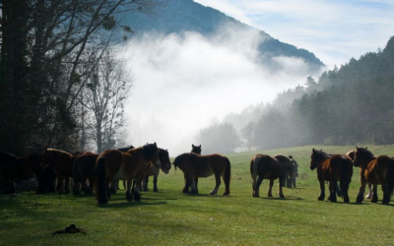 ecoturismo en norte Burgos