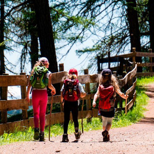 Excursiones