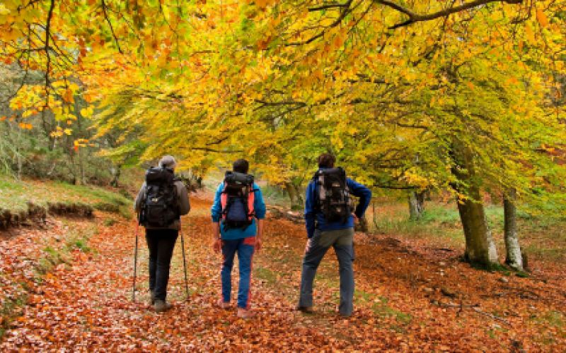 ecoturismo Merindades